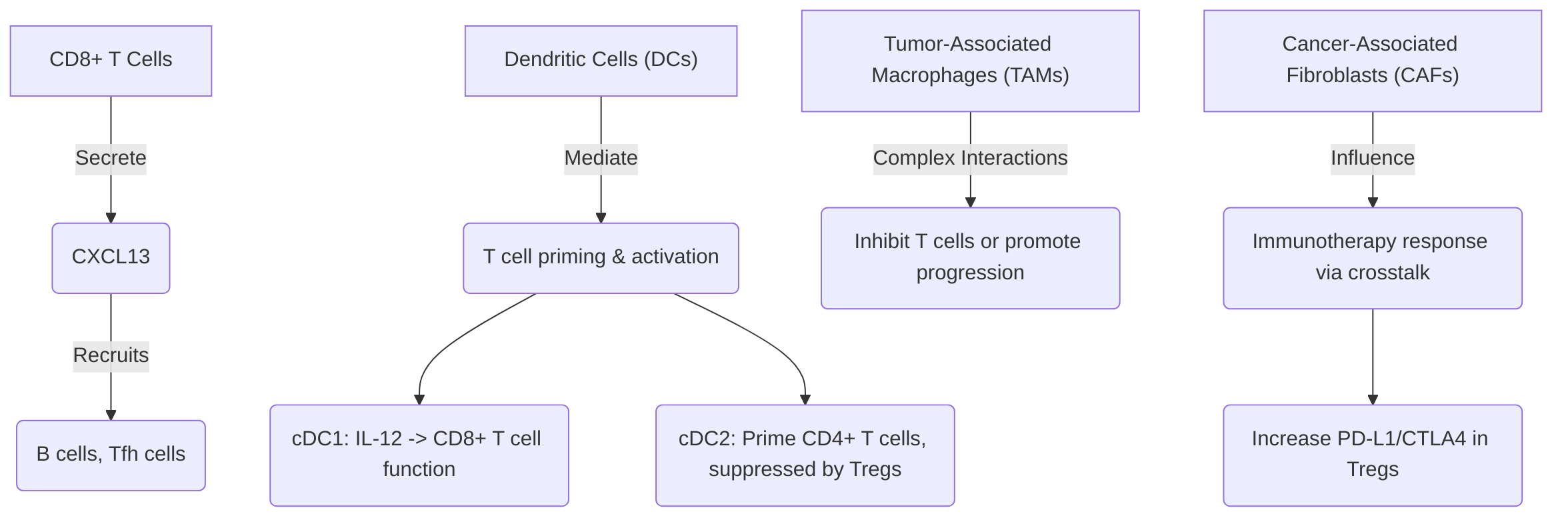Key_Immune_Cell_Interactions_in_the_TIME